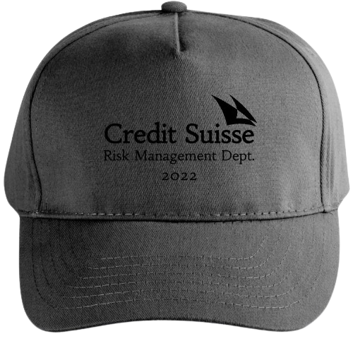 Credit Suisse Risk Management Cap grey