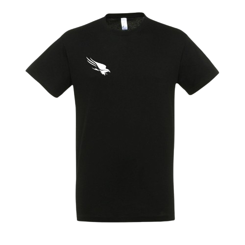 Crowdstrike Internship T-shirt black