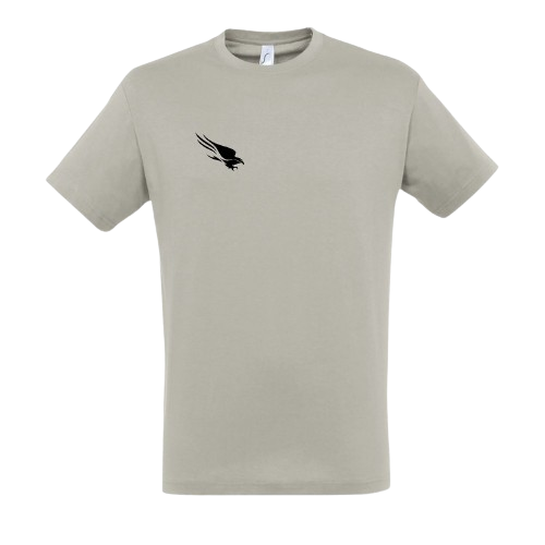 Crowdstrike Internship T-shirt grey