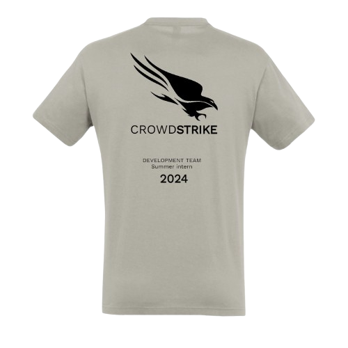 Crowdstrike Internship T-shirt grey