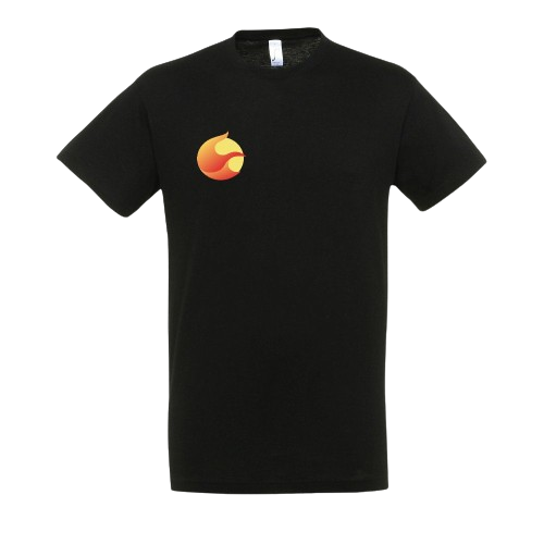 Terra Luna Development Team T-shirt black