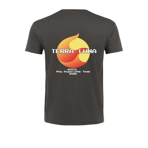 Terra Luna Development Team T-shirt grey