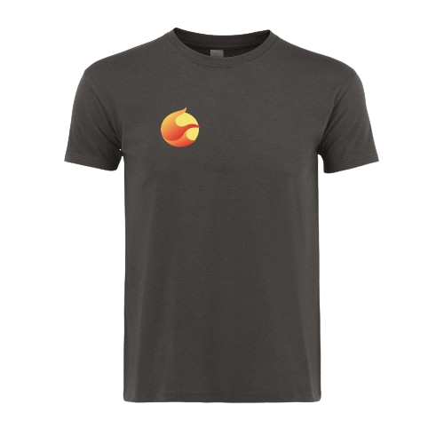 Terra Luna Development Team T-shirt grey